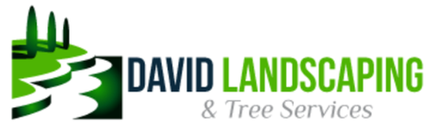 David Landscaping and Tree Services