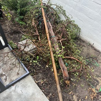 Ooga Booga Junk - Yard waste for trash haul removal - Junk Removal & Hauling Near Me - Chino Hills, California Ooga Booga Junk - Yard waste for trash haul removal - Junk Removal & Hauling Near Me - Chino Hills, California