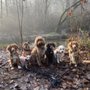Photo of Walk Hike Play