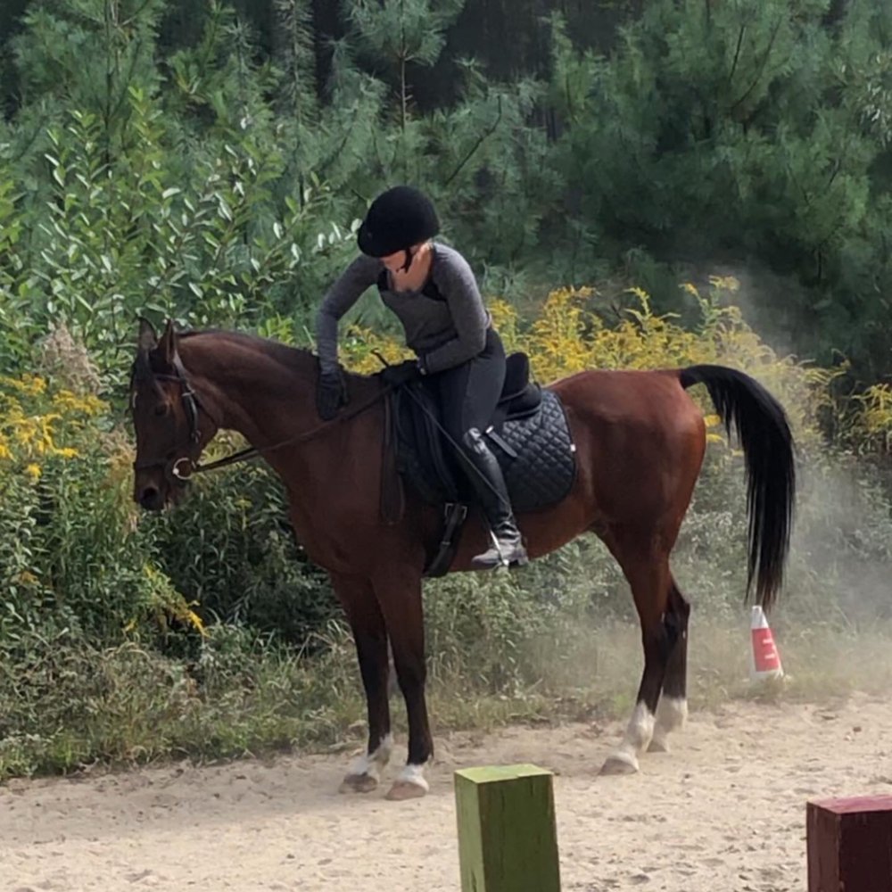 KATE HORSEMANSHIP Updated July 2024 15 Photos Scarborough