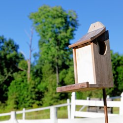 Camelot Meadows - Birdhouse