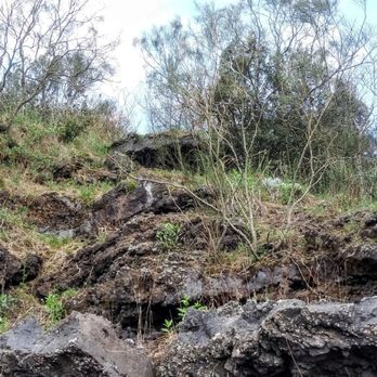 Vesuvio - You can see the ancient layers of lava over one another - Parks Near Me