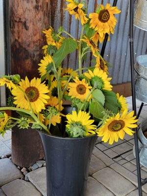 Hoffman Farms Store by null