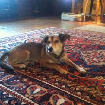 Alexis Bailly Vineyard Inc - The mascot. - Wineries Near Me - Hastings, Minnesota