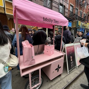 Molly Tea - Bubble Tea Near Me - New York, New York