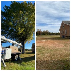 Arning Tree Service