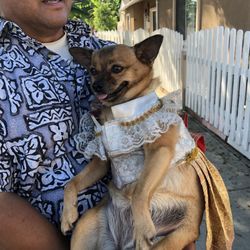 Wat Buddhavipassana | Vipassana Foundation - Beautiful, baby dressed up in her traditional Thai clothing