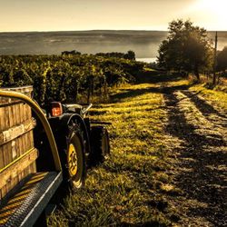 Fulkerson Winery
