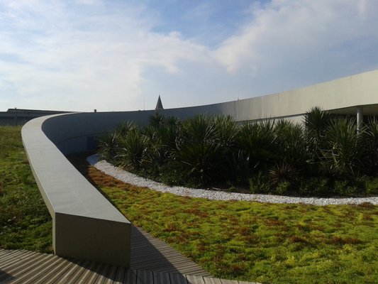 Museum Romanité by null