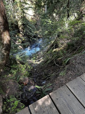 Franklin Falls Trailhead by null