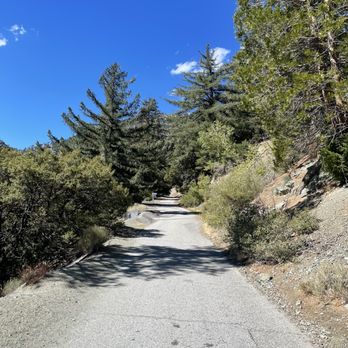 Old Mt. Baldy Trail - Hiking Near Me - Mount Baldy, California