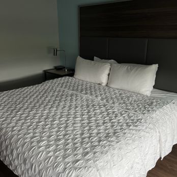 Tru by Hilton Saint Joseph - Bed - Hotels Near Me - Stevensville, Michigan Tru by Hilton Saint Joseph - Bed - Hotels Near Me - Stevensville, Michigan