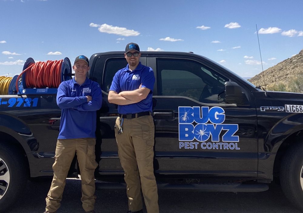 BUG BOYZ PEST CONTROL Updated August 2024 Albuquerque , New Mexico Pest Control Phone