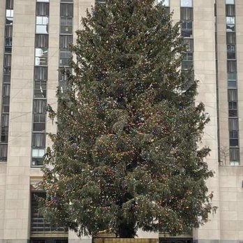 75 Rockefeller Plaza - Rockefeller Center Christmas tree - Landmarks & Historical Buildings Near Me - New York, New York