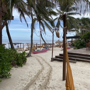 La Zebra - Mexican Near Me - Tulum, ROO La Zebra - Mexican Near Me - Tulum, ROO