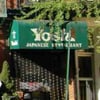 New Yoshi Japanese Restaurant gift card