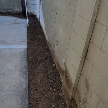 Tony's BC Tree Service - After - Tree Services Near Me - Orange, California Tony's BC Tree Service - After - Tree Services Near Me - Orange, California