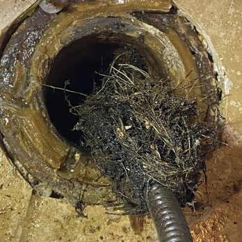 CA Plumbing & Drain - Tree root.
Are you have main Sewer clog ? - Plumbing Near Me CA Plumbing & Drain - Tree root.
Are you have main Sewer clog ? - Plumbing Near Me