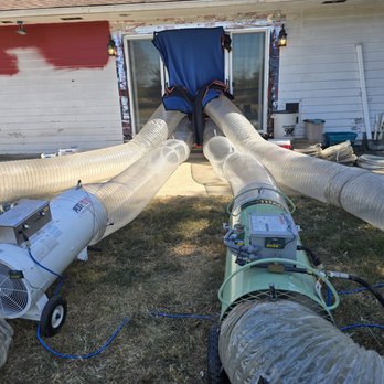 Free Bee Pest Control - Bed Bug Removal - Pest Control Near Me - Englewood, Ohio Free Bee Pest Control - Bed Bug Removal - Pest Control Near Me - Englewood, Ohio