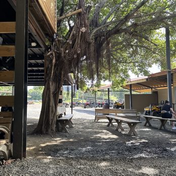 Carabali Rainforest Park - Horseback Riding Near Me - Luquillo, Puerto Rico Carabali Rainforest Park - Horseback Riding Near Me - Luquillo, Puerto Rico