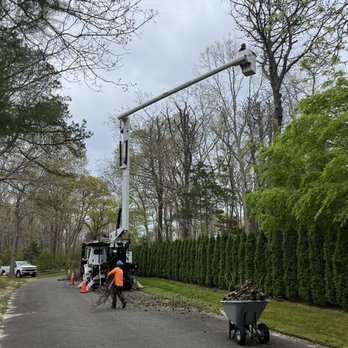 Okula Tree Care - Tree Services Near Me Okula Tree Care - Tree Services Near Me