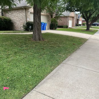 Jump’n Lawn Care - a red frisbee in the grass - Lawn Services Near Me Jump’n Lawn Care - a red frisbee in the grass - Lawn Services Near Me