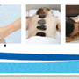 Healing Hands Medical Massage