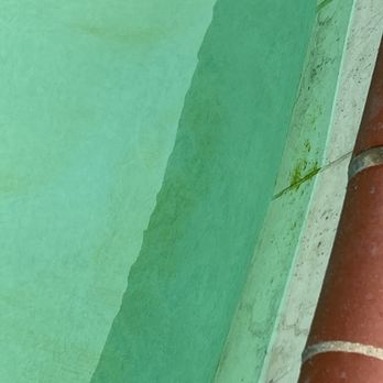 Chlorine King Pool Service - If you can believe it this is after the technician left. He left the pool like this. - Pool & Hot Tub Service Near Me Chlorine King Pool Service - If you can believe it this is after the technician left. He left the pool like this. - Pool & Hot Tub Service Near Me