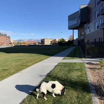 Hotel Maverick - Plenty of room to roam - Hotels Near Me - Grand Junction, Colorado Hotel Maverick - Plenty of room to roam - Hotels Near Me - Grand Junction, Colorado