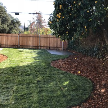 Sierra Madre Landscape - new sod, wood chips, sprinklers and drip line - Landscaping Near Me - Sierra Madre, California