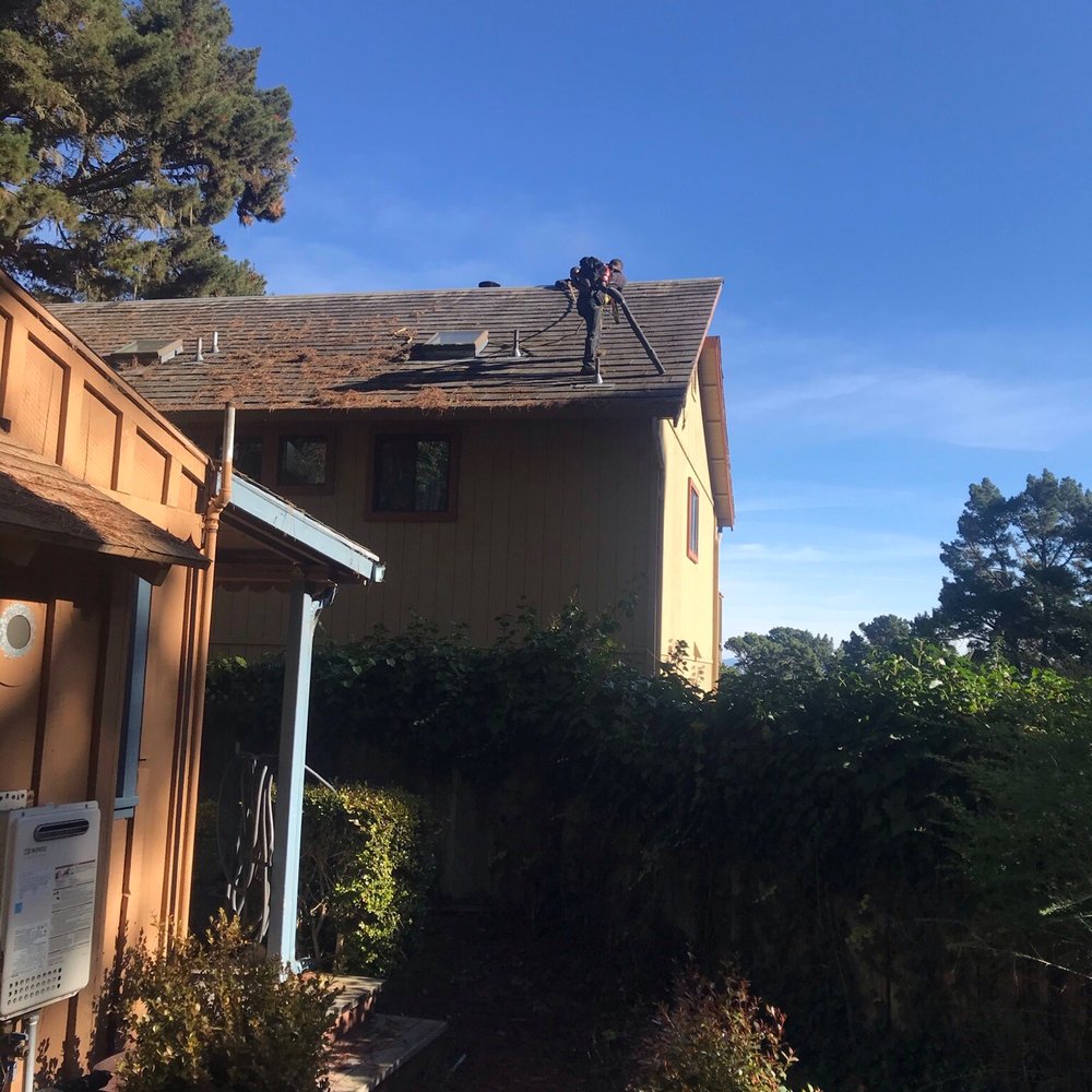 Cleaning roof and gutters