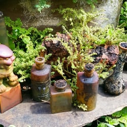 Bonsai Place