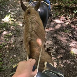 The horse i rode her name was mator and the guide in-front of me barbra
