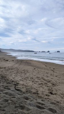 Shi Shi Beach by null