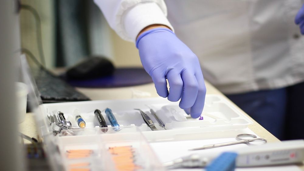 NORTH SHORE & BROOKLINE ENDODONTICS Updated August 2024 60 Lewis St