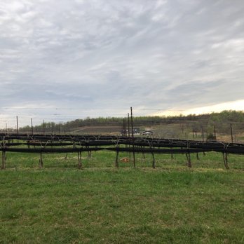 Stone Tower Winery - Vineyard - Wineries Near Me - Leesburg, Virginia Stone Tower Winery - Vineyard - Wineries Near Me - Leesburg, Virginia