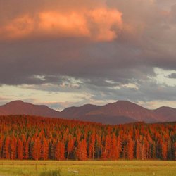 Adelante! Gallery - Cynthia Wolf "Red Sunset" Photography infused onto metal
