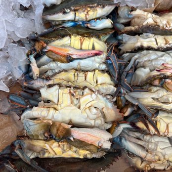 Amy's Seafood - Fresh big softshells - Seafood Markets Near Me - Westwego, Louisiana Amy's Seafood - Fresh big softshells - Seafood Markets Near Me - Westwego, Louisiana