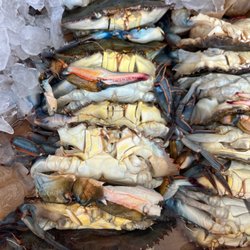 Amy's Seafood - Fresh big softshells