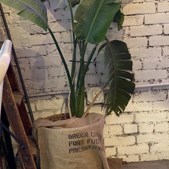 Whistle & Fizz - Coffee & Tea Near Me - New York, New York Whistle & Fizz - Coffee & Tea Near Me - New York, New York
