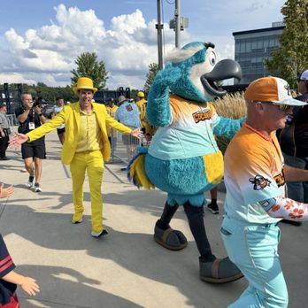 Gillette Stadium - Savannah Bananas vs Loco Beach Coconuts 8/28/26 - Venues & Event Spaces Near Me - Foxborough, Massachusetts