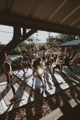 Wild Heart Yoga by null