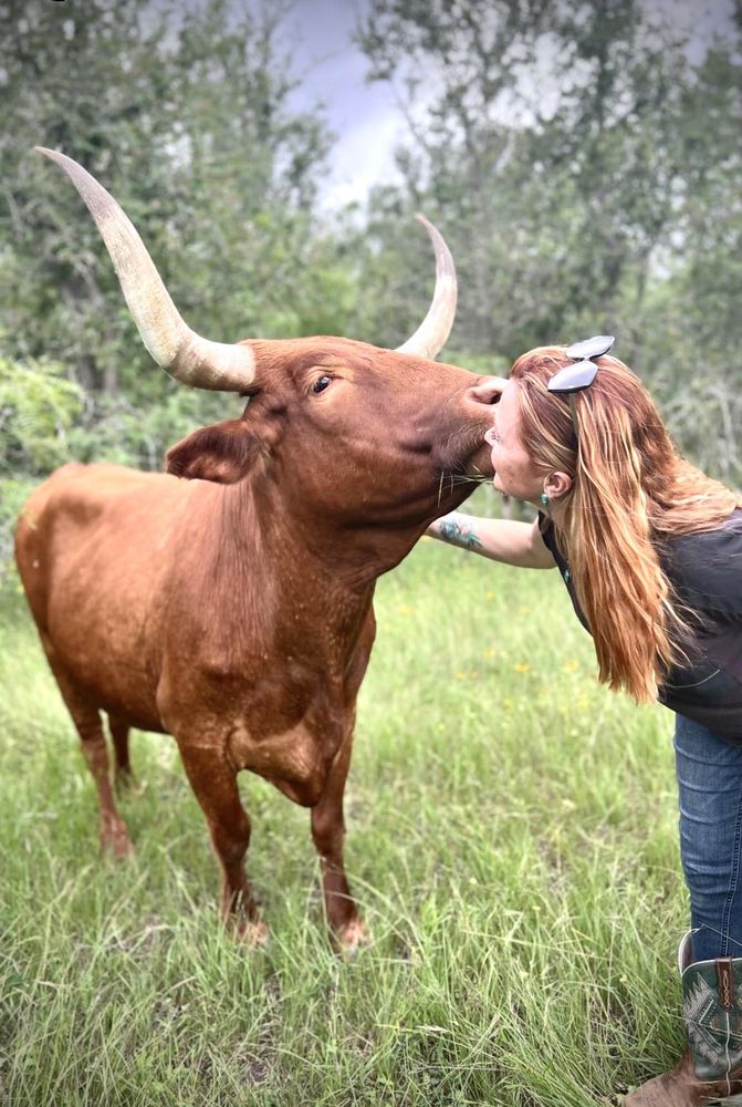 M.Landin Hair Studio Logo