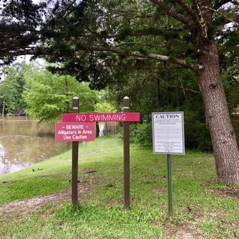 Sam Houston Jones State Park - The River is out of it's banks - 5/21/2019 - Parks Near Me - Lake Charles, Louisiana Sam Houston Jones State Park - The River is out of it's banks - 5/21/2019 - Parks Near Me - Lake Charles, Louisiana