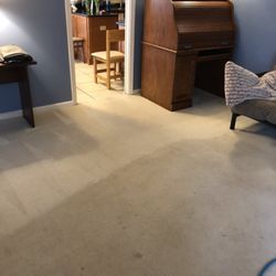Quality Carpet Care - Carpet cleaning room half clean an half dirty