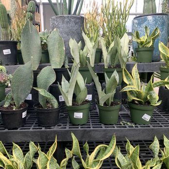 Sun River Gardens - Nurseries & Gardening Near Me - Orem, Utah