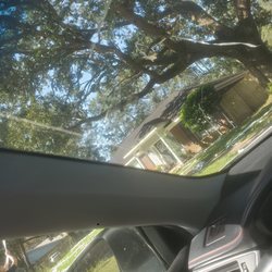 Custom Tree Service - I tried to upload more this is not the best photo but shows the size