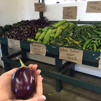 Larry's Produce - Cute little baby eggplant! - Fruits & Veggies Near Me - Fairfield, California Larry's Produce - Cute little baby eggplant! - Fruits & Veggies Near Me - Fairfield, California