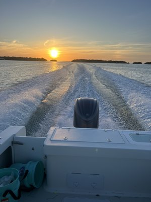 Bamboo Charters by null