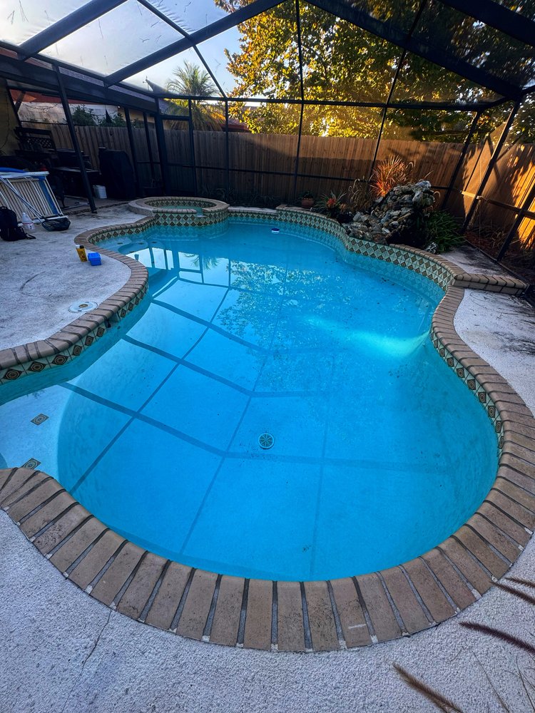 The Pool Bear - veterans service organization in Tampa, FL